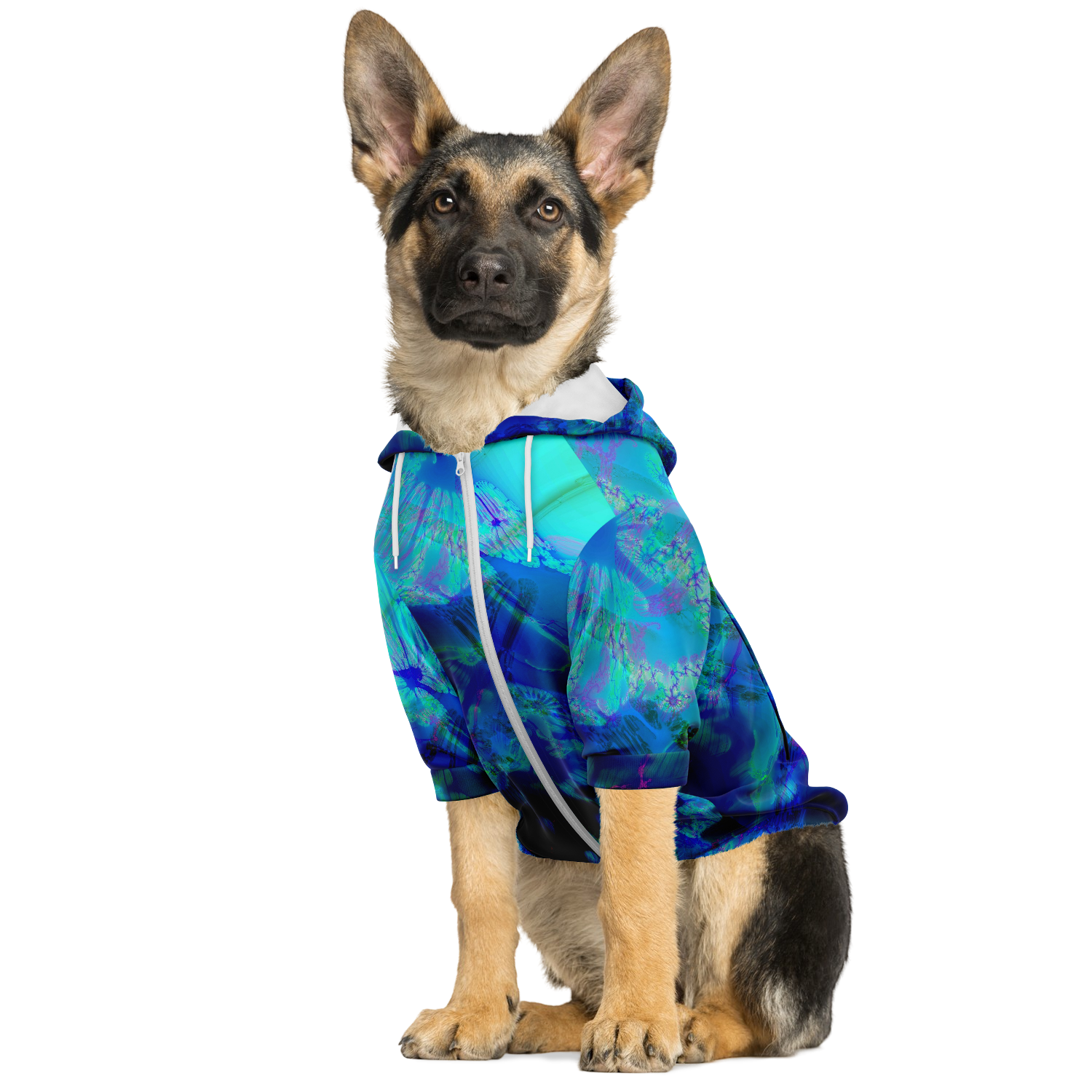 Blue hot sale dog hoodie